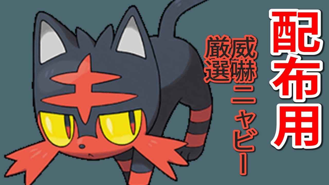 【ポケモンUSUM】雑談しながら配布用の威嚇ニャビー厳選