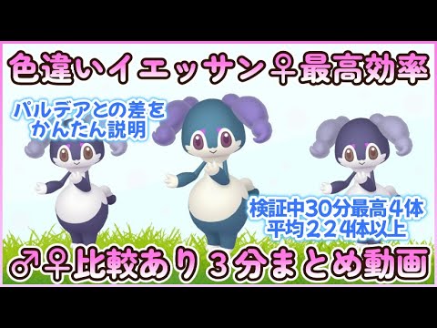碧の仮面 色違いイエッサン♀＆最高効率厳選3分まとめ 30分最高4体平均2.24体以上#ポケモンsv #最高効率 #色違い #イエッサン♀ #イエッサン♂ #大量発生 #碧の仮面