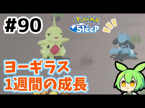 【睡眠リサーチ】＃90『ヨーギラス育成から１週間』【無課金ポケモンスリープ】【ゆっくり実況ずんだもん】
