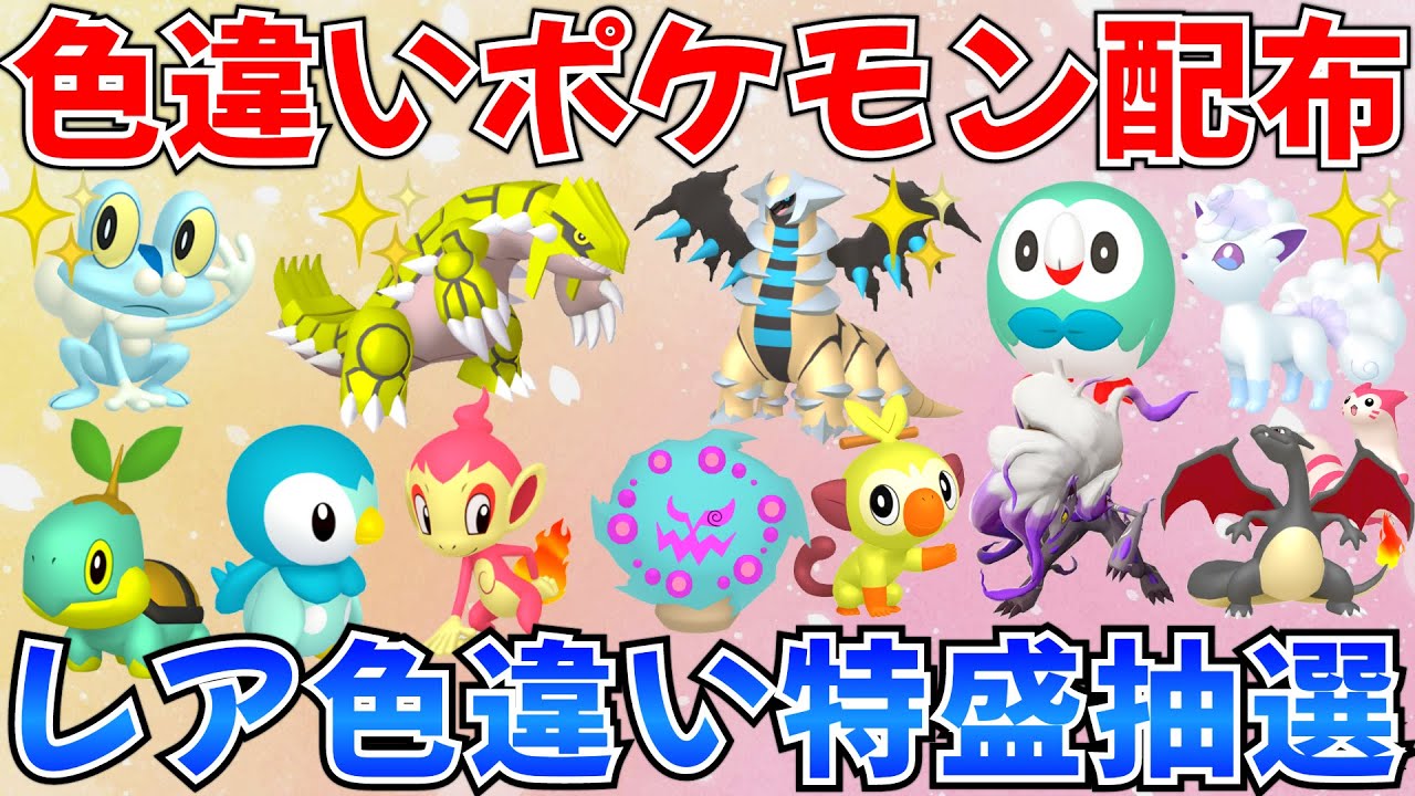 【ポケモンSV 色違いポケモン配布】色グラードン ギラティナ アローラロコン ポッチャマなど抽選 #ライブ #ポケモン配布
