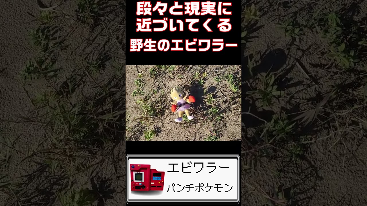 段々と巨大化して現実に近づいてくるエビワラー？ #ポケモン #shorts  #エビワラー  #hitmonchan