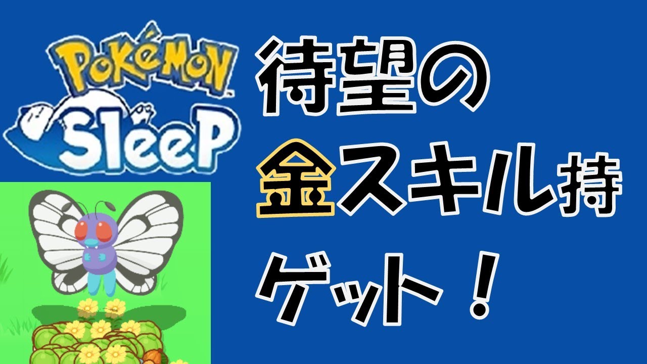 キャタピー金スキル個体ようやくゲット！！リサーチ報告、微課金・無課金者向け動画【9/23土曜日】【ポケモンスリープ】