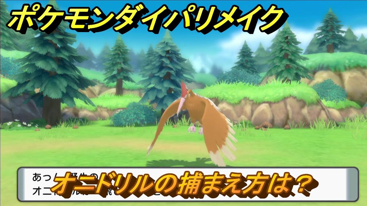 ポケモンダイパリメイク　オニドリルの捕まえ方は？出現場所は？　最新版【ブリリアントダイヤモンド・シャイニングパール】