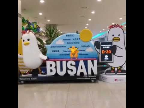 피카츄 ( Pikachu ) ピカチュウ ( 皮卡丘 )