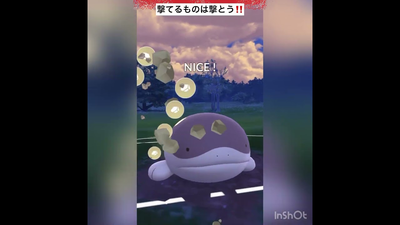 速成カップ潜ってみた‼️vol.2