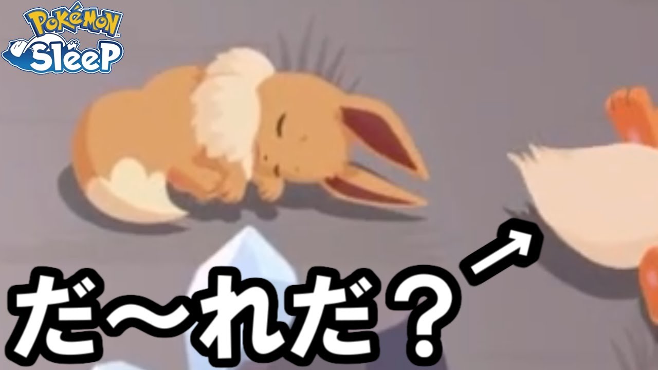 ブースター来たぁぁぁぁ！！....って思ったよね、本気で。【ポケモンスリープ】