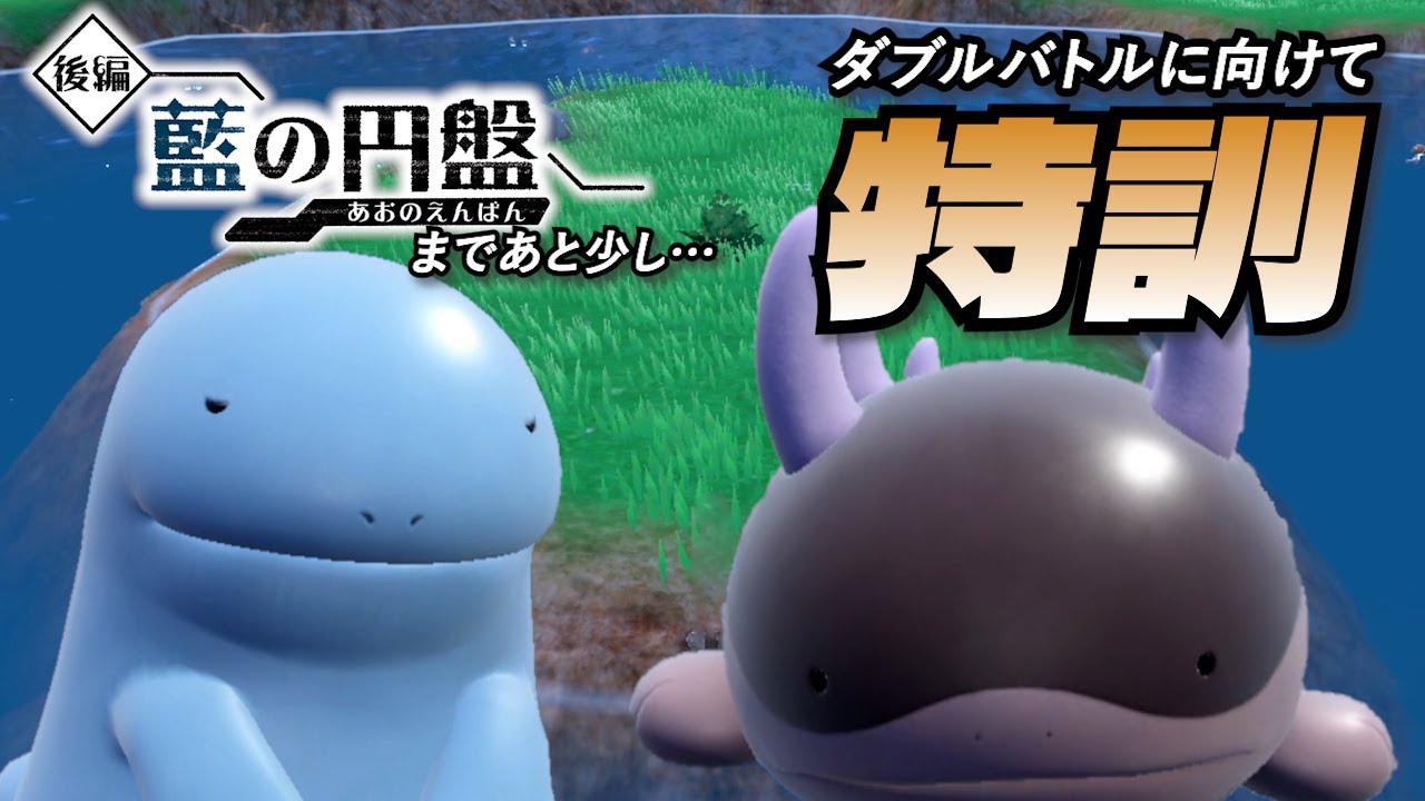 ヌオーとドオーを「藍の円盤」ダブルバトルの為特訓した結果…【ポケモンSV】