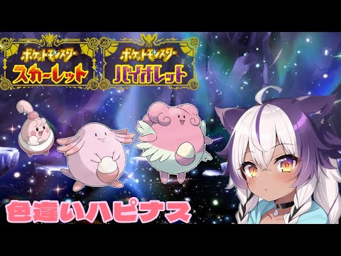 【ポケモンSV】色違いピンプク → ラッキー → ハピナス【ポケットモンスタースカーレットバイオレット】