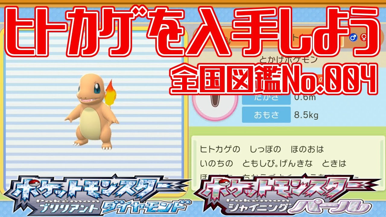 【ポケモンダイパリメイク】ヒトカゲを入手しよう 全国図鑑No.004【ポケットモンスター ブリリアントダイヤモンド・シャイニングパール】Pocket Monsters