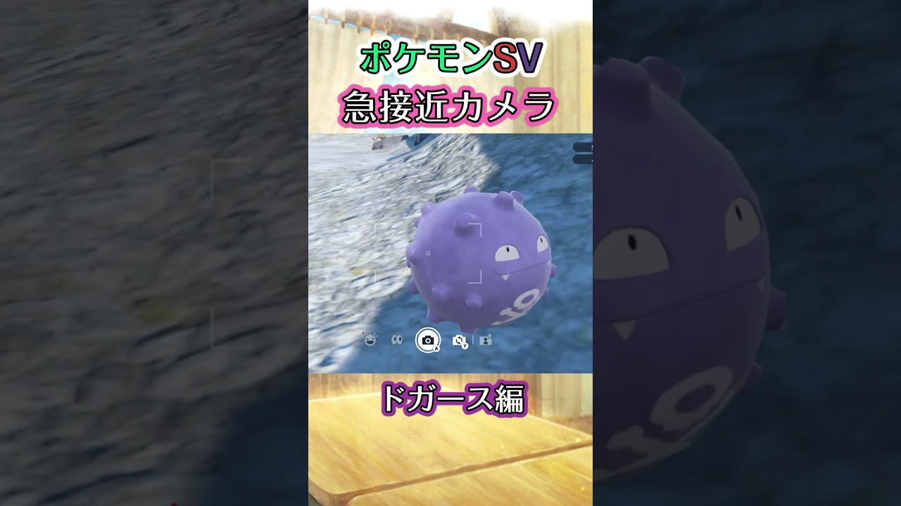 【ポケモンSV】ドガースがﾌﾖﾌﾖと右往左往しながらこちらに近づいてくるだけの動画 #ポケモン #ポケモンsv #ドガース #shorts
