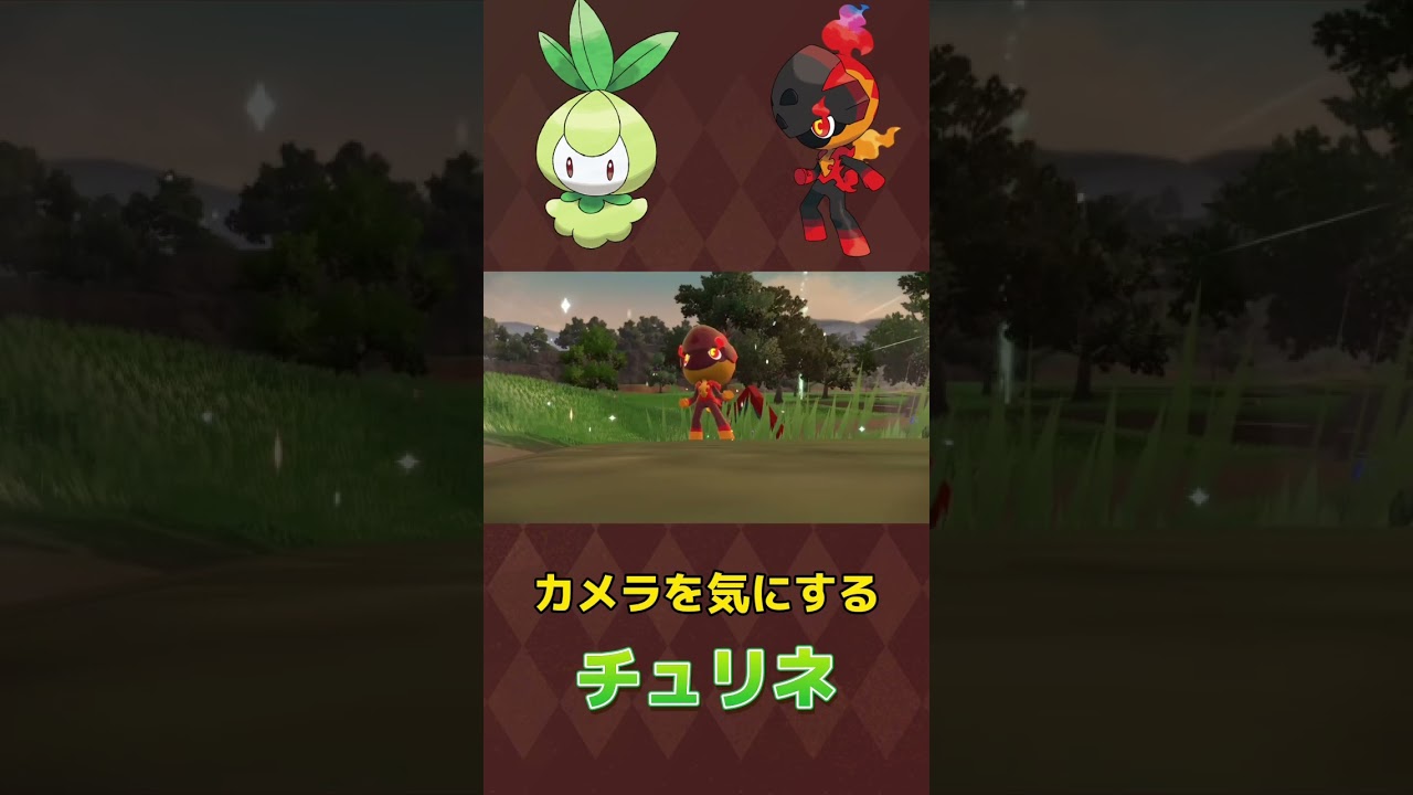 [かわいい] カメラを気にするチュリネ #pokémon #ポケモン #ポケモンsv