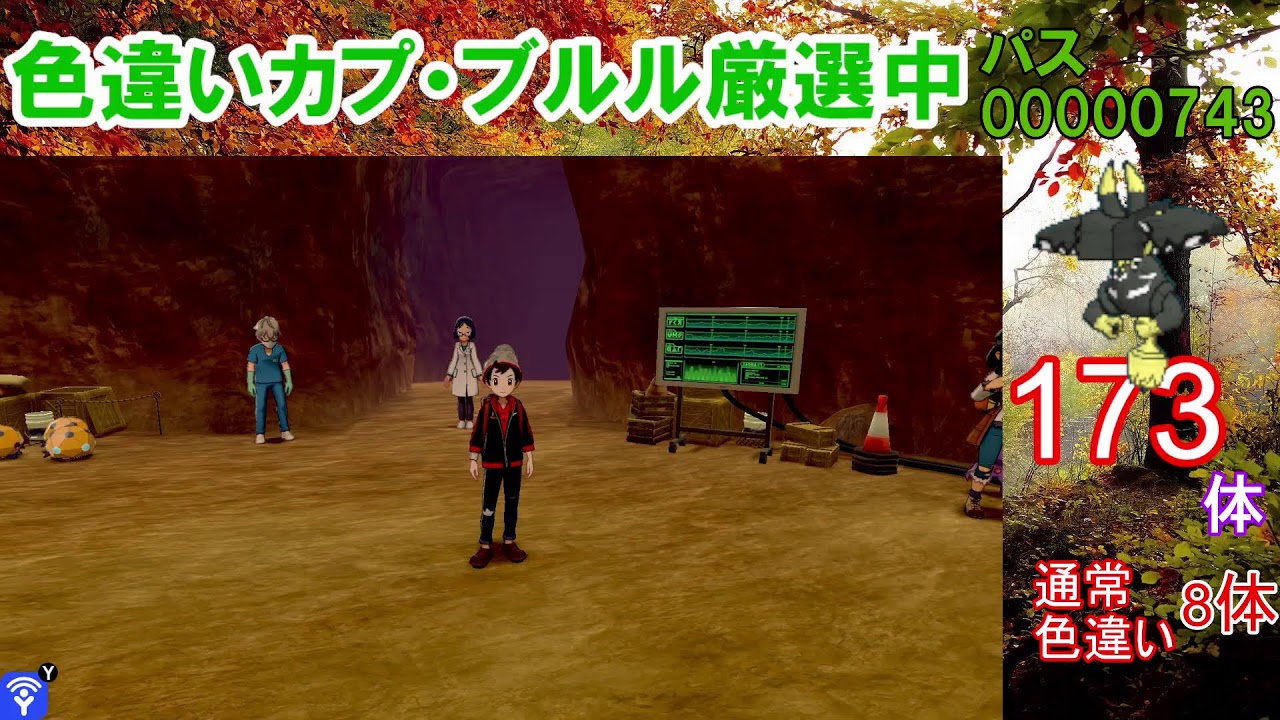 【ポケモン剣盾】試行回数ワースト記録更新中。。。カプ・ブルル色違い以外の色違いが出たら即配布！カプ・ブルル色厳選【ダイマックスアドベンチャー】