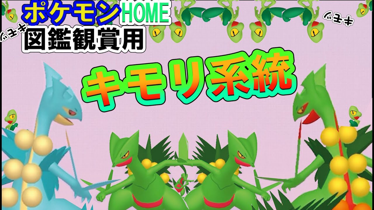 【ポケモンHOME】　図鑑観賞用　キモリ系統