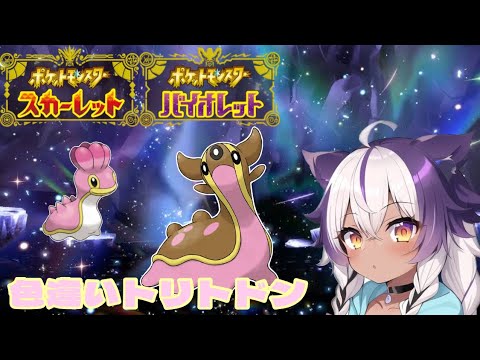 【ポケモンSV】色違いカラナクシ → トリトドン【ポケットモンスタースカーレットバイオレット】