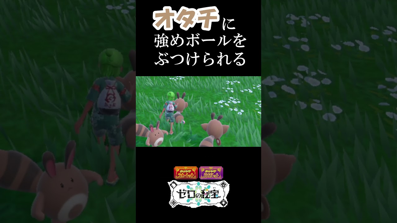 オタチにボールをぶつけられる瞬間『ポケモンSV』 #ポケモンsv #ポケモン #ゼロの秘宝 #碧の仮面  #shorts