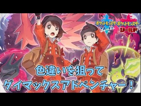色違い狙ってダイマックスアドベンチャー!!【ポケットモンスターシールド】　初見さん、コメント歓迎！