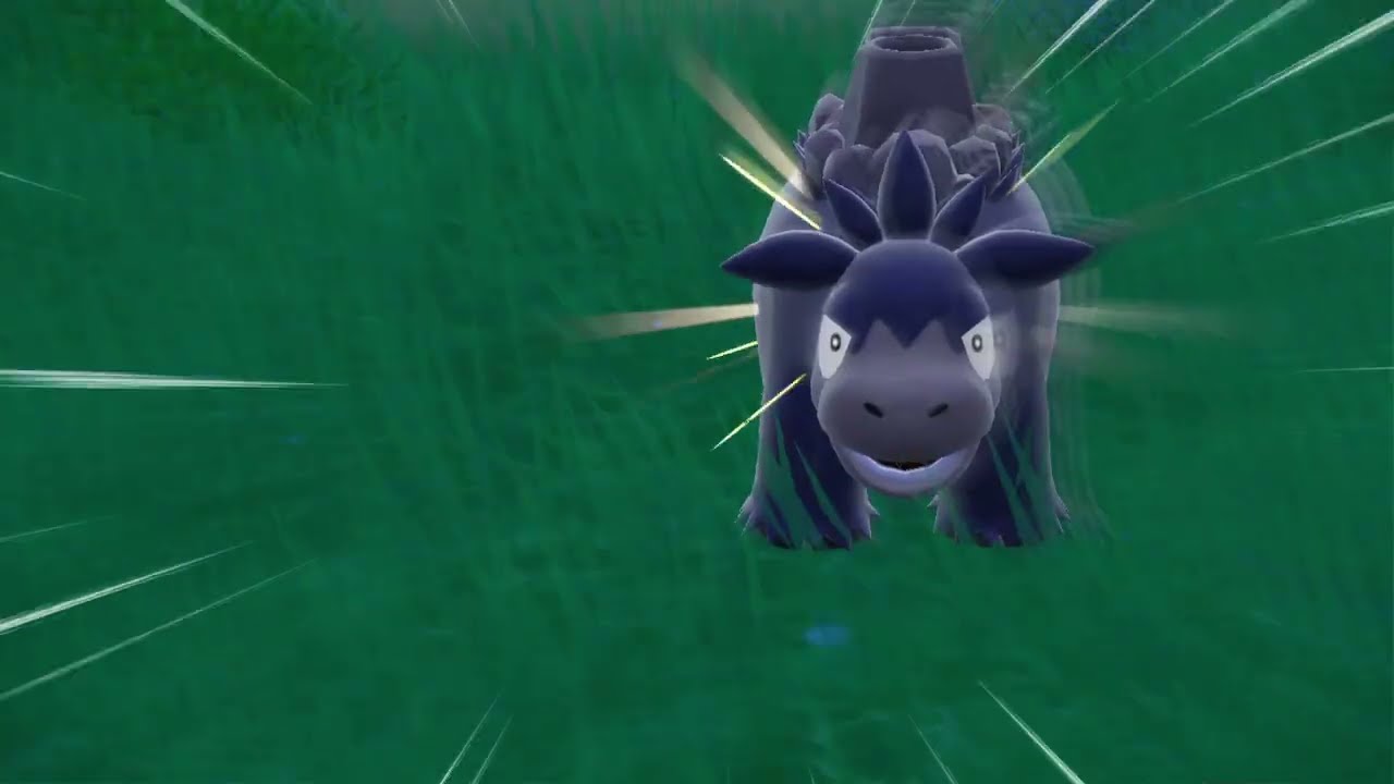 バクーダ　色違い