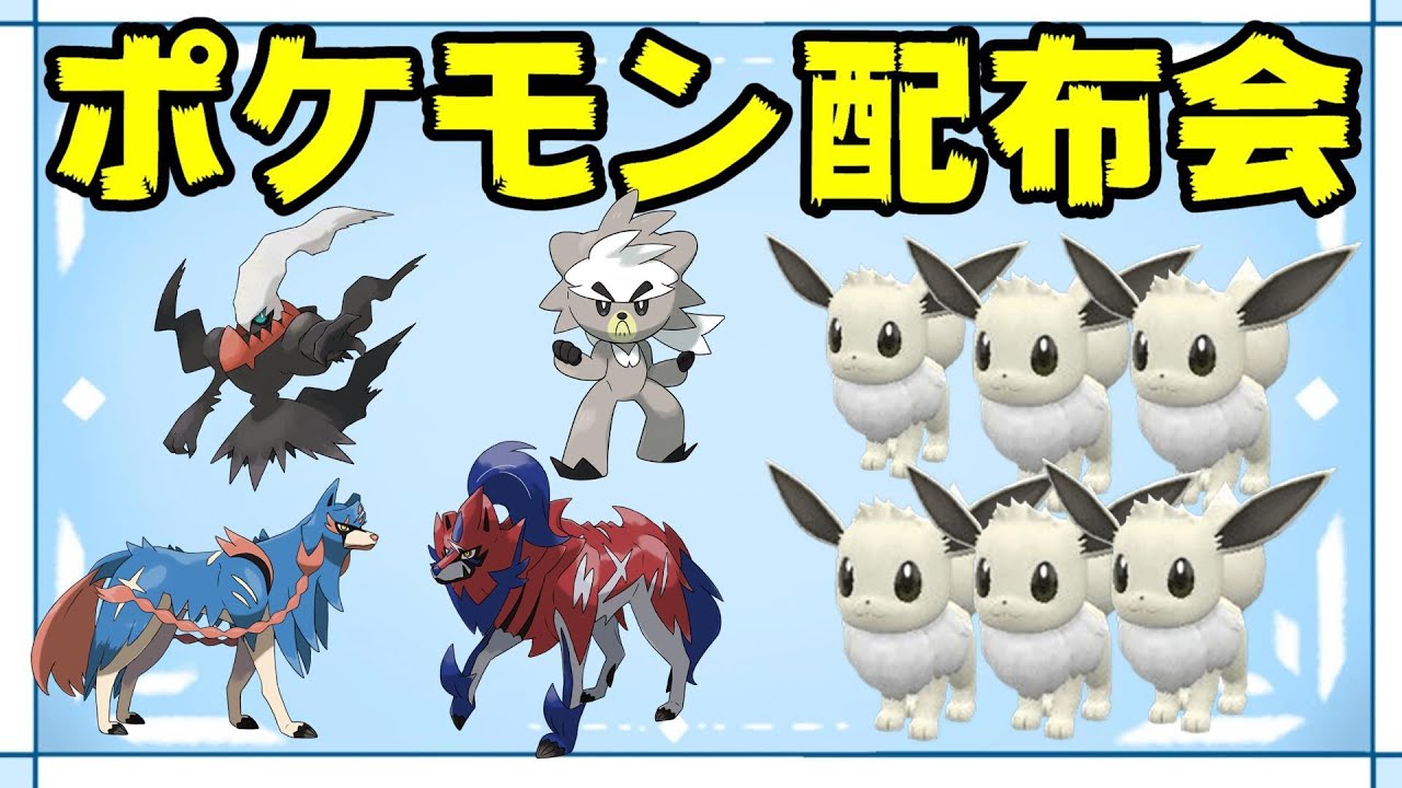 【色違い＆伝説配布】証持ち♀色イーブイ・親分ヒスイマルマインなどポケモン配布会【ポケモンSV】