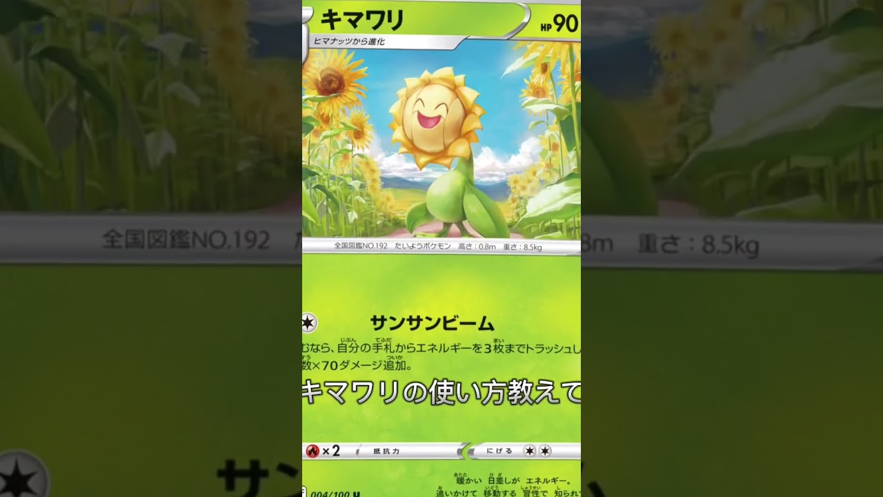 【ポケカ】キマワリの使い方を教えて！！