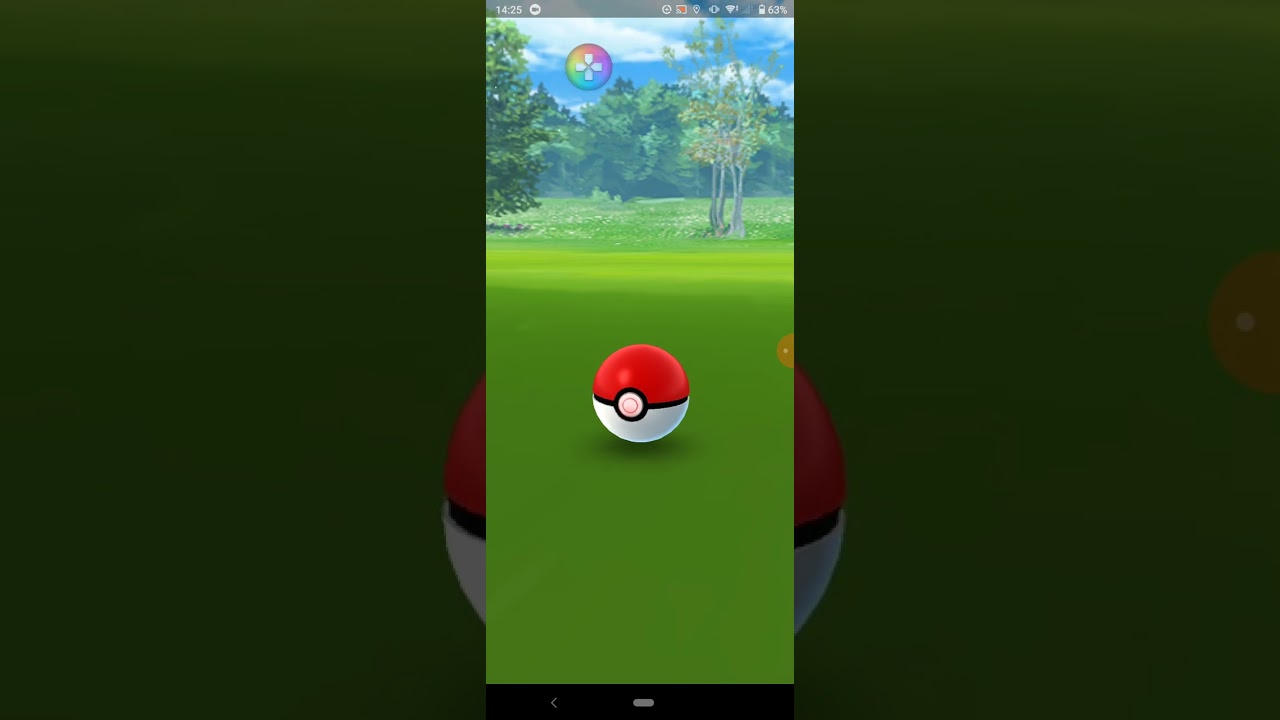 20231128のポケモンgoのチルット