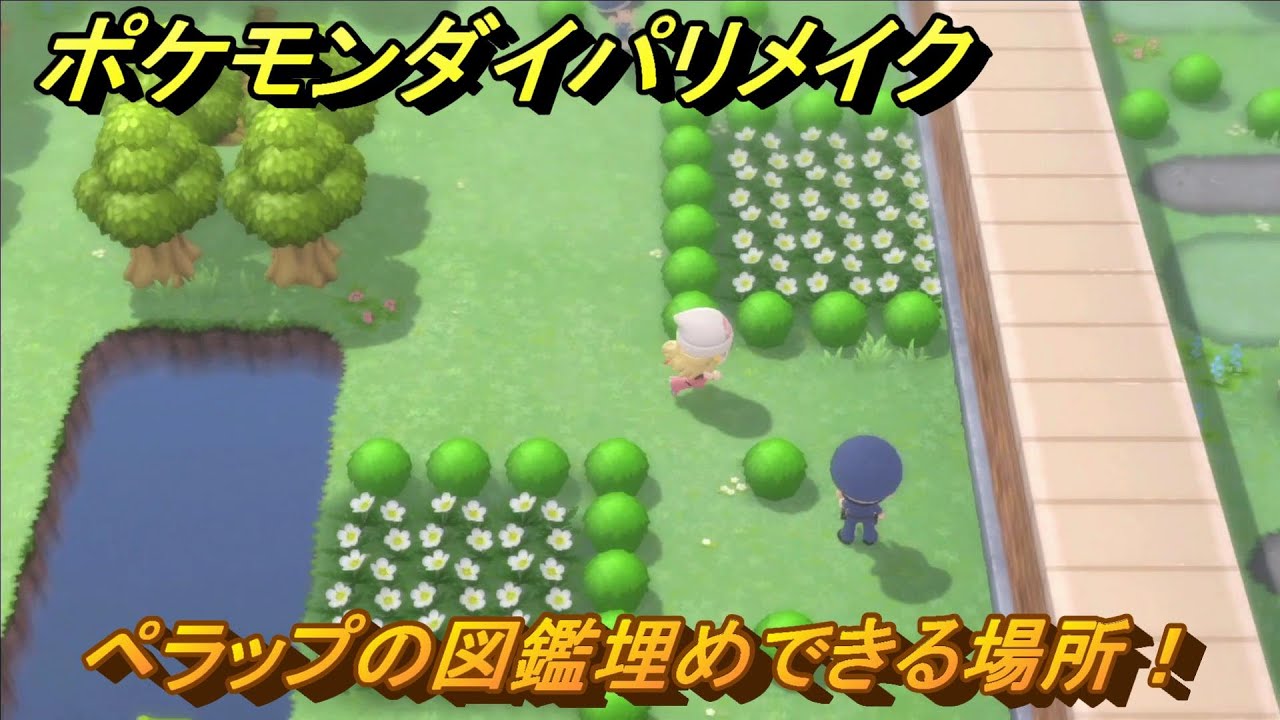 ポケモンダイパリメイク　ペラップの図鑑埋めできる場所！全国図鑑入手への道のり　最新版【ブリリアントダイヤモンド・シャイニングパール】