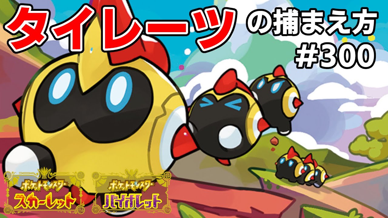 タイレーツを探している方に見てほしい動画