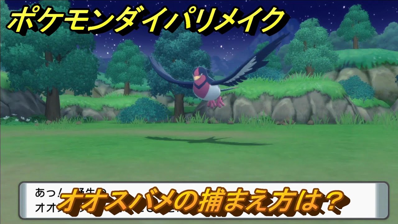 ポケモンダイパリメイク　オオスバメの捕まえ方は？出現場所は？　最新版【ブリリアントダイヤモンド・シャイニングパール】