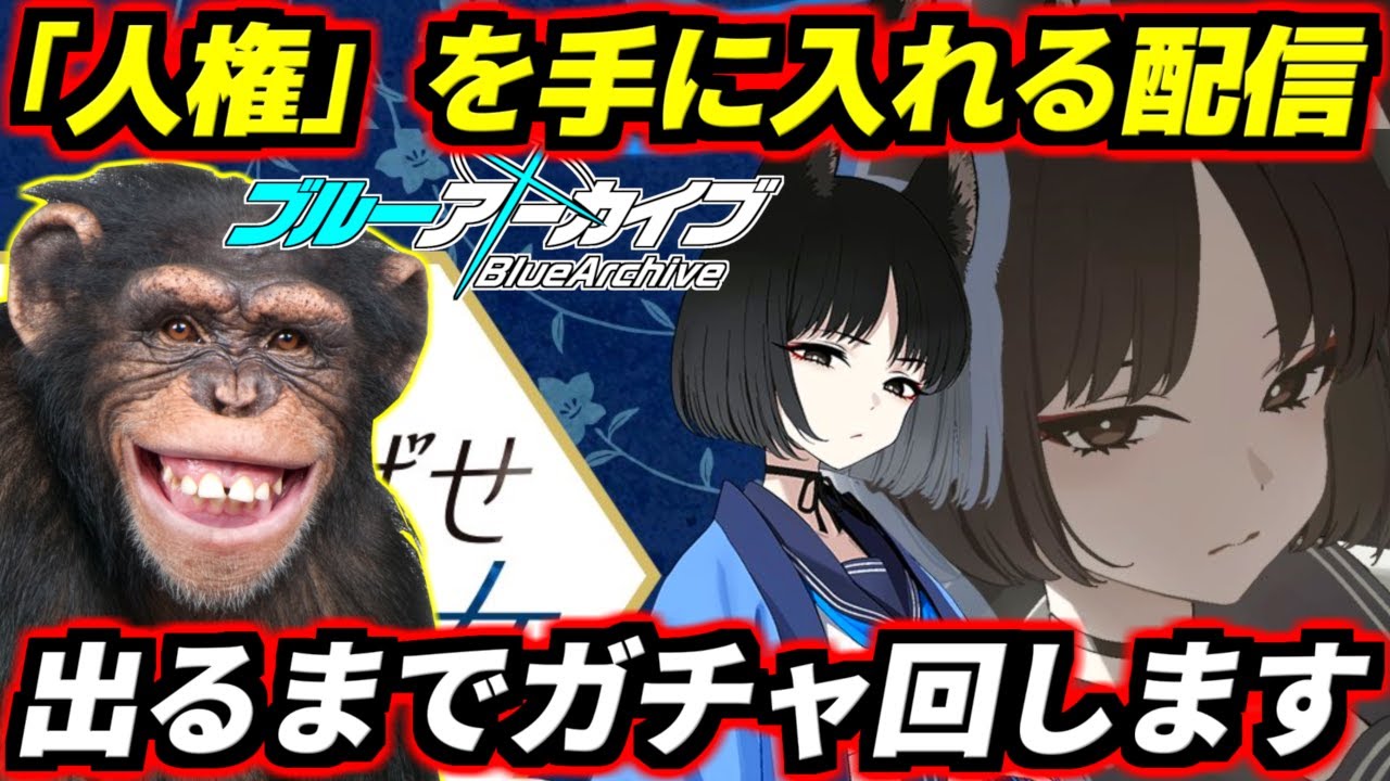 【ブルアカ】俺は「人権」を手に入れる。キキョウ出るまで全ツッパガチャ配信！というかキキョウめっちゃ感情激重先生大好き族みたいだけどどうなってんだアロナァ！【ブルーアーカイブ】【BlueArchive】