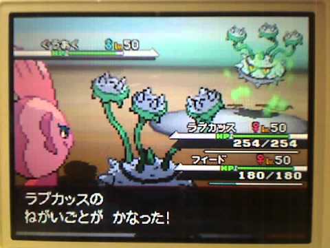 ナットレイ対ナットレイ