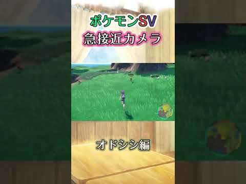 【ポケモンSV】オドシシを追いかけまわしていたらいつの間にかあるポケモンに背後を取られていてしまっただけの動画 #ポケモン #ポケモンsv #オドシシ #shorts