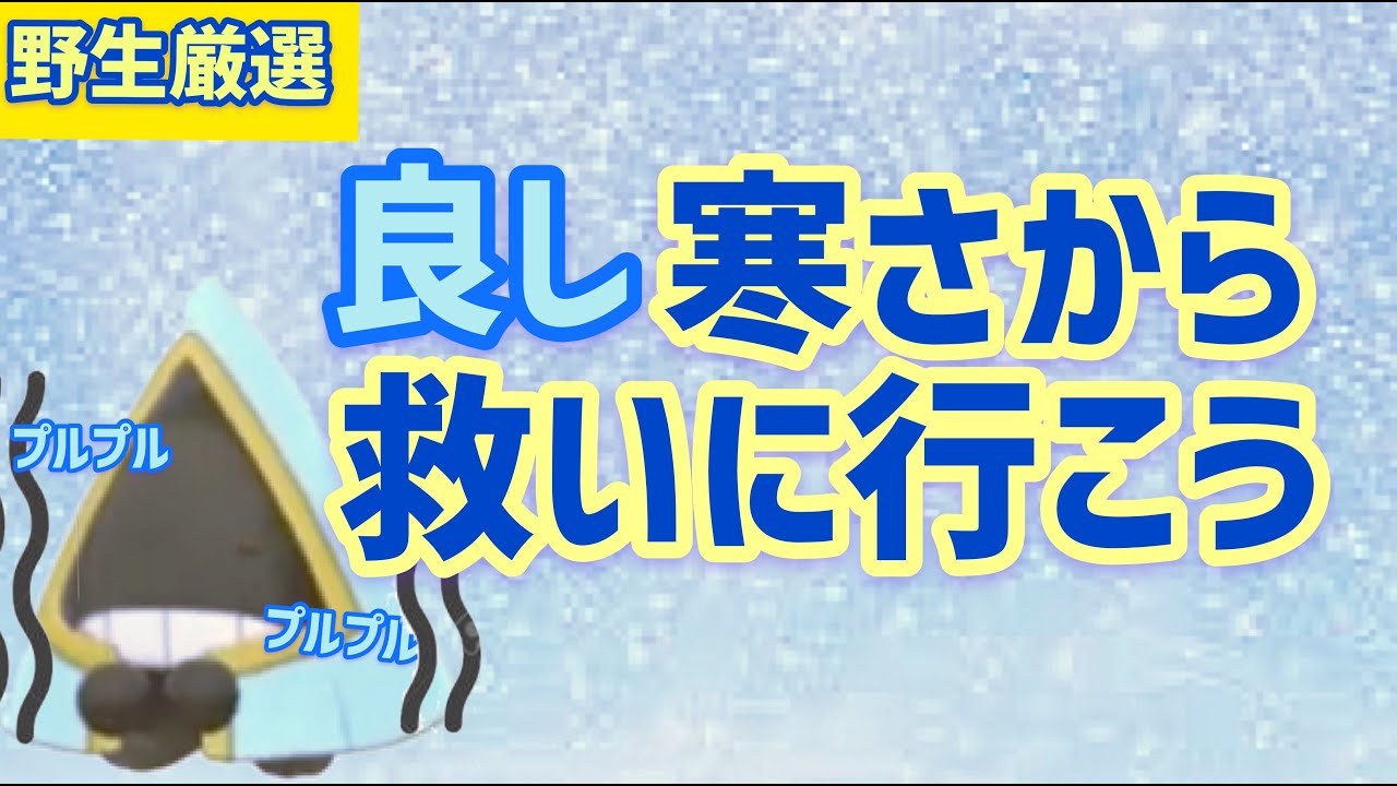 【ユキワラシ色違い厳選】可愛いから捕まえに行く【ポケモン剣盾】♯２