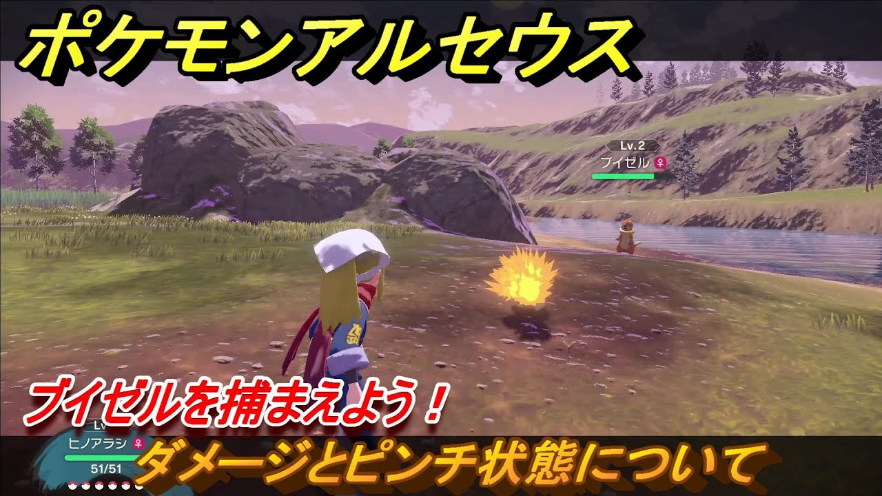 ポケモンアルセウス　ブイゼルを捕まえよう！ダメージとピンチ状態について　＃１４　【Pokémon LEGENDS アルセウス】