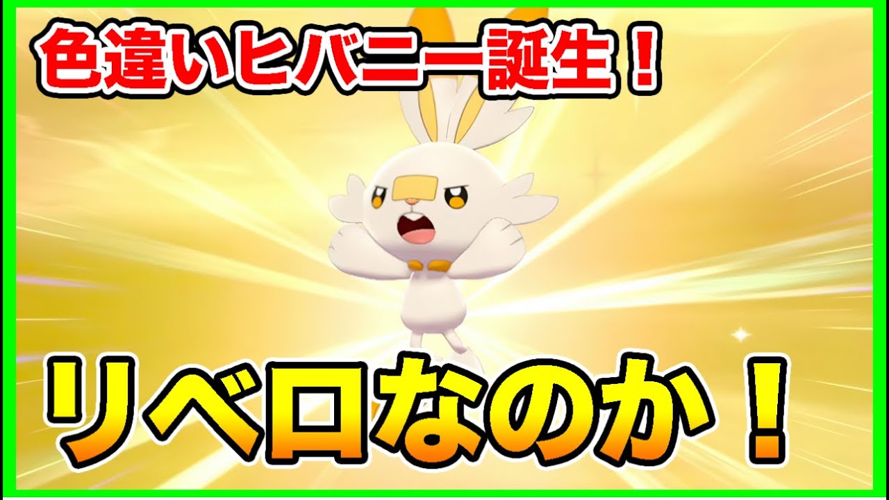 【ポケモン剣盾】色違いヒバニー生まれて号泣した！【ソードシールド】