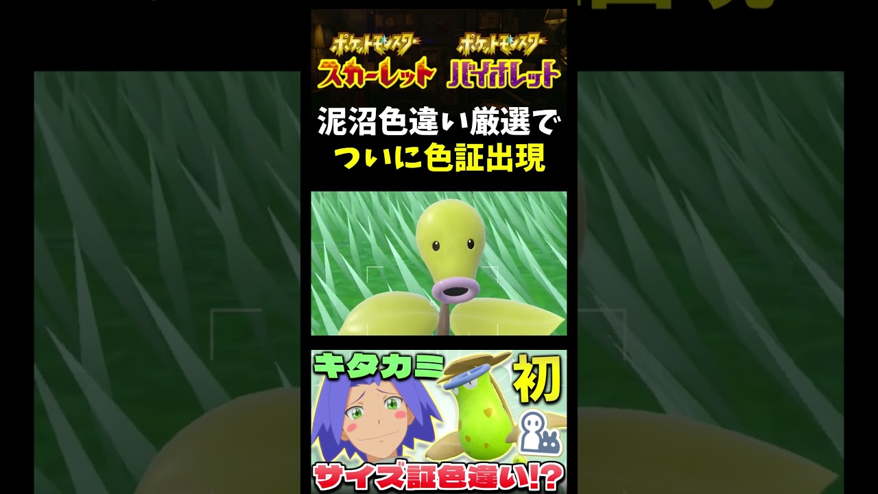 【ポケモンSV】泥沼から脱出!? DLCで追加内定した｢マダツボミ｣の色違い厳選をしてたらついに色証が!!【ポケモン】【切り抜き】【色違い厳選】【色違いポケモン】#shorts
