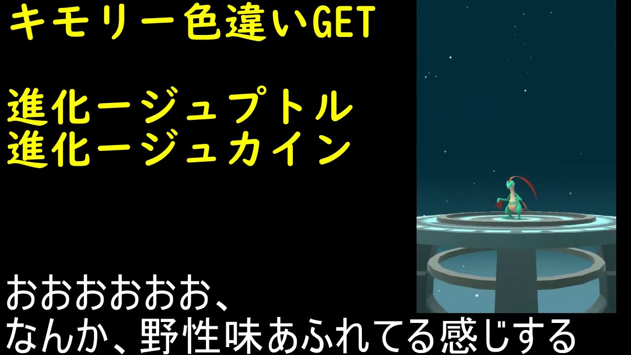 キモリ色違い進化進化【ポケモンGO】