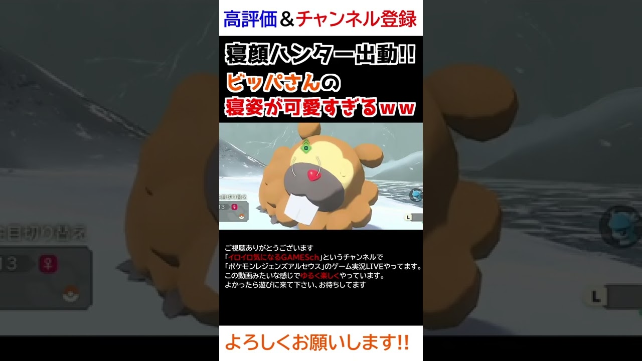 ビッパさんの「寝姿」が可愛すぎるｗw【Pokémon LEGENDS アルセウス】【寝顔ハンター】