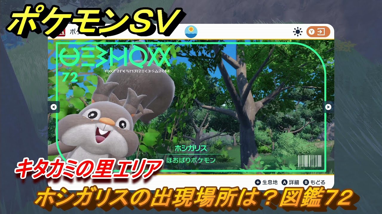 ポケモンＳＶ　ホシガリスの出現場所は？図鑑７２　キタカミの里エリア　＃４１３　【DLCゼロの秘宝　碧の仮面・藍の円盤】