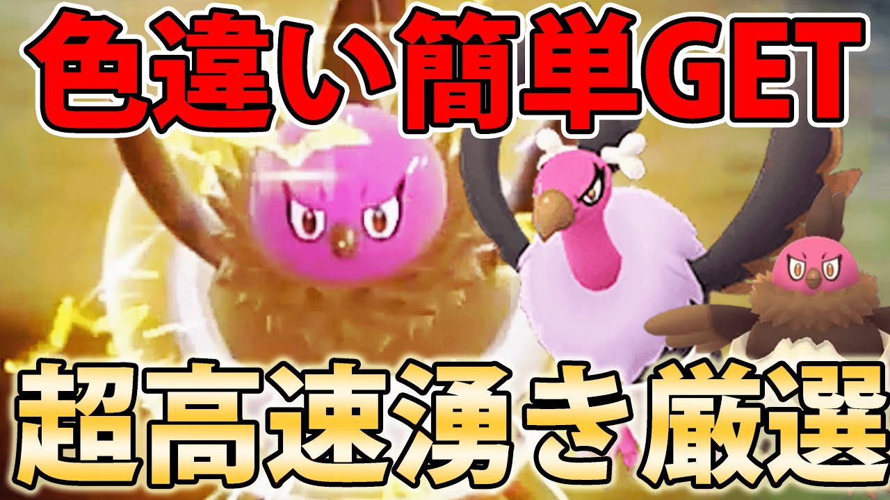 【知らなきゃ損】色違いバルチャイ＆バルジーナの超効率＆簡単な入手方法を紹介！ただし注意点も！【ポケモンSV】