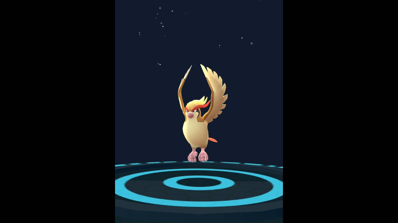 ポケモンGO ポッポ～ピジョン～ピジョットに進化してみた