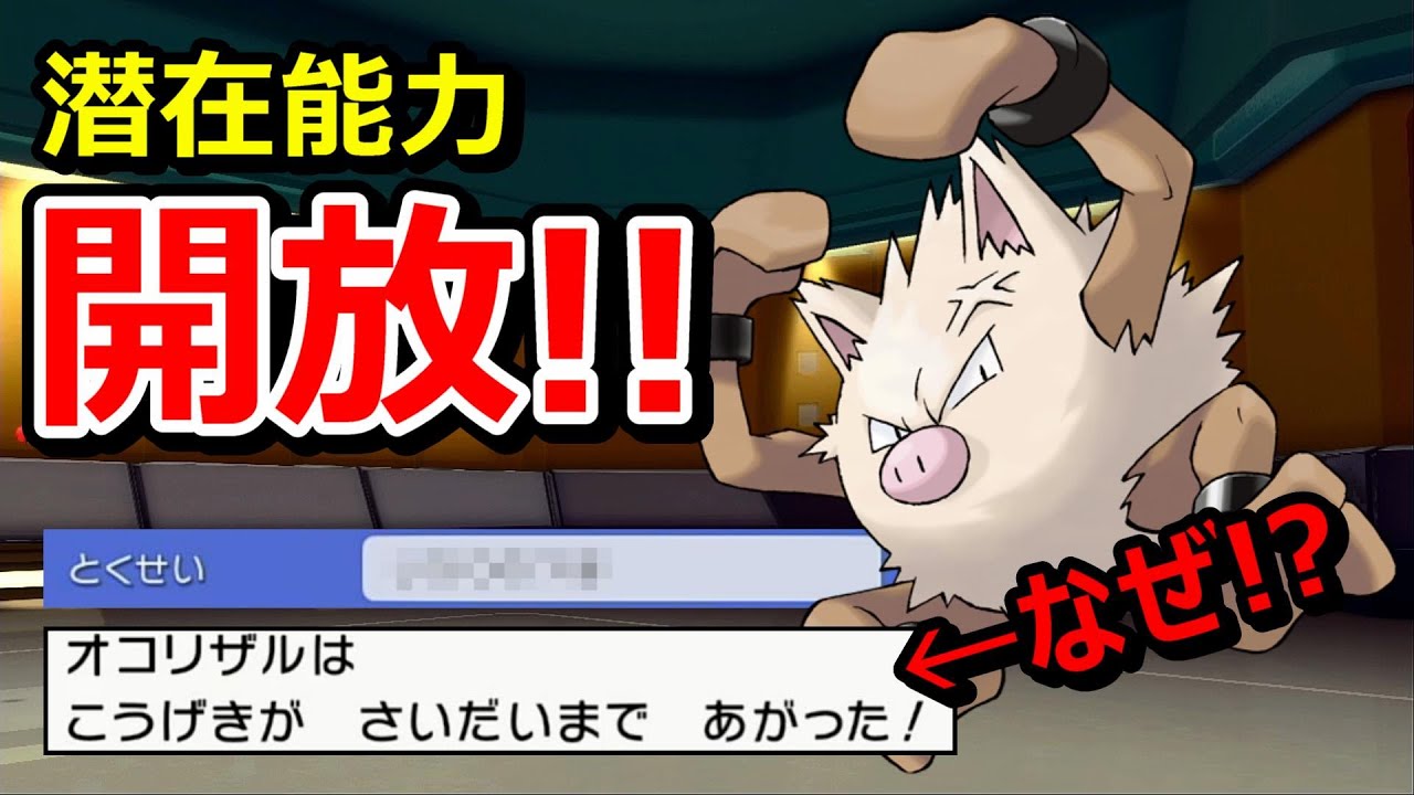 「ある条件」によりオコリザルが真の力を開放する・・・！【ダイパリメイク】【ポケモンBDSP】【マイナー】【対戦実況】【育成論？】