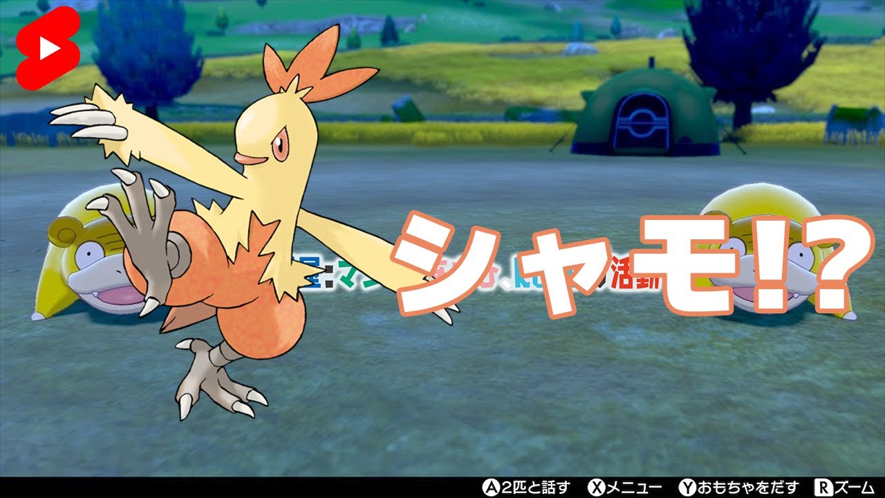 【雑談切り抜き】あさひ先輩「ワカシャモって何!?」-ポケモンBDSP【マシロ】#shorts