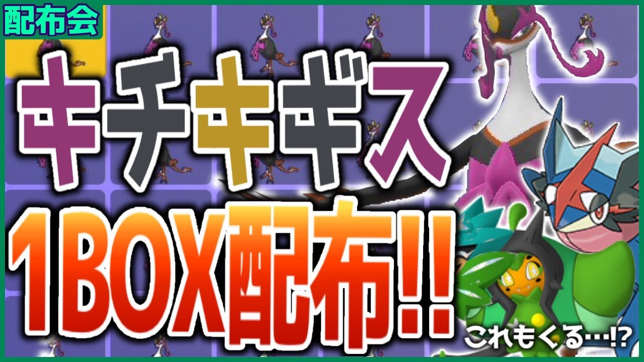 キチキギス１BOX配布会！！サトシゲッコウガ・オーガポンもきた！概要欄必読！！ 【ポケモンSV スカーレット バイオレット】
