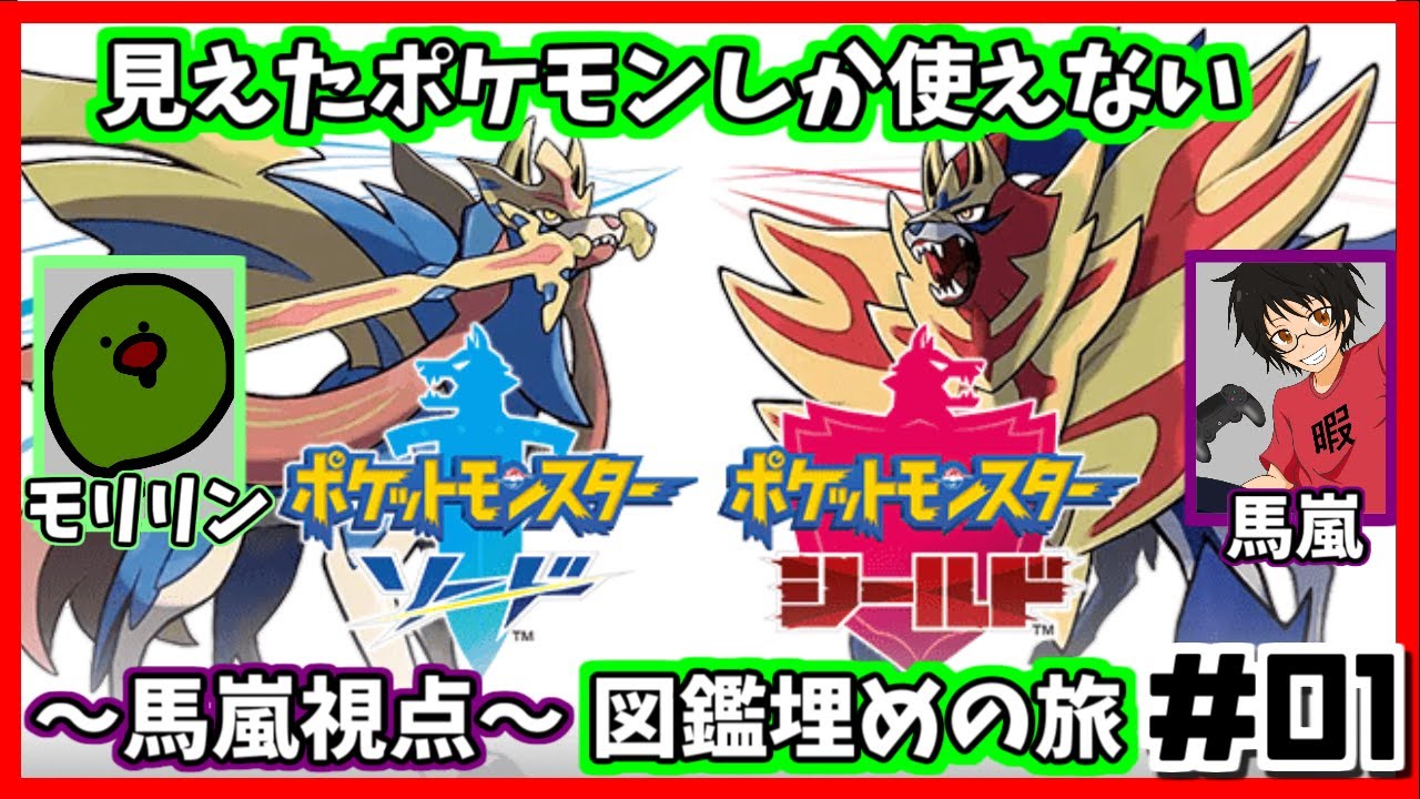 見えたポケモンしか使えない図鑑埋め剣盾#01～馬嵐視点～【ポケットモンスターソード・シールド】
