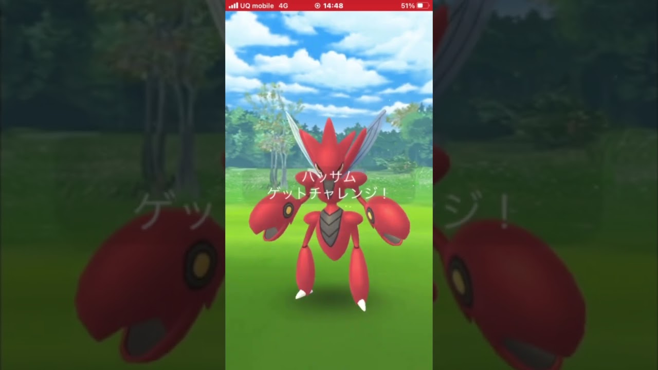 メガハッサムソロレイド　　　#pokemon #pokémon #pokemongo #pokemongoshorts ＃メガハッサム