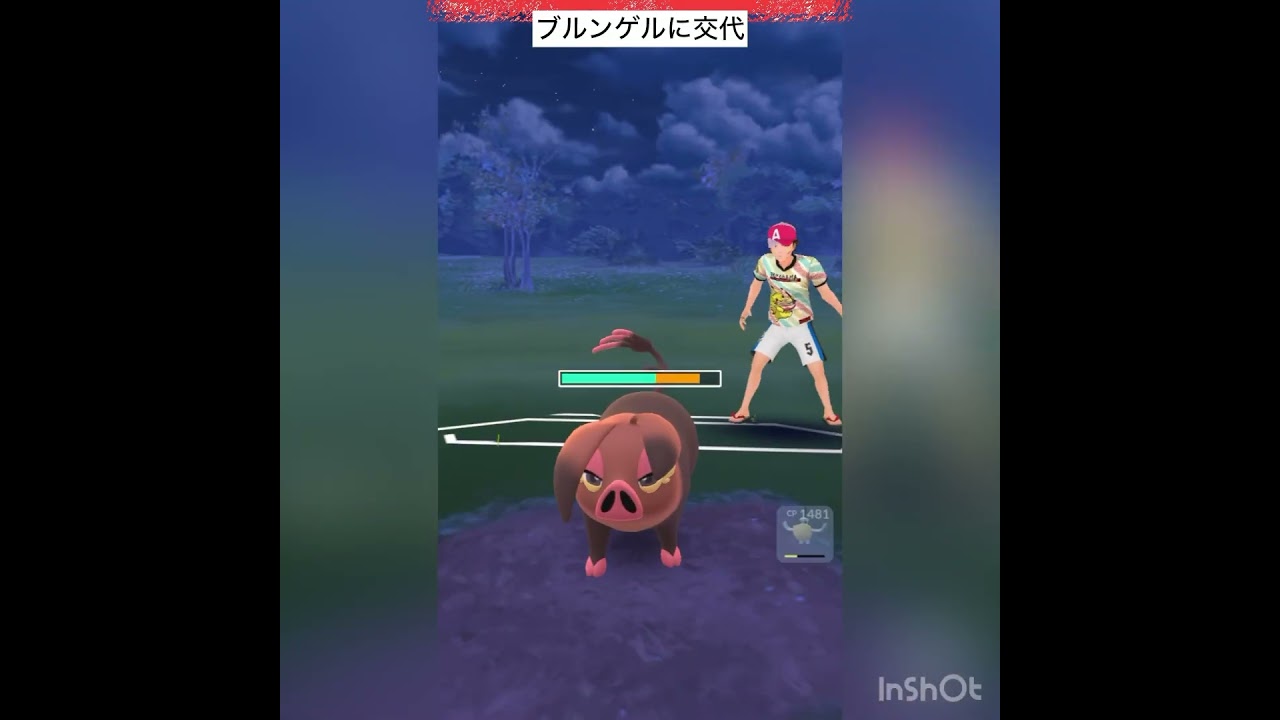 ペリッパーぁぁぁぁぁ‼️