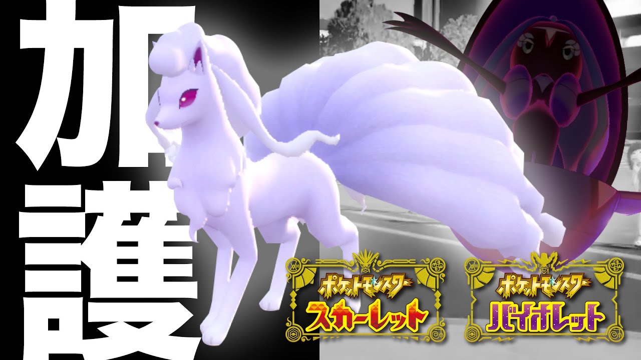 【全ケア】レート2000の立役者『カプ・レヒレ』の加護を受けし『アローラキュウコン』を紹介!! ポケモンSV ポケットモンスター スカーレット バイオレット