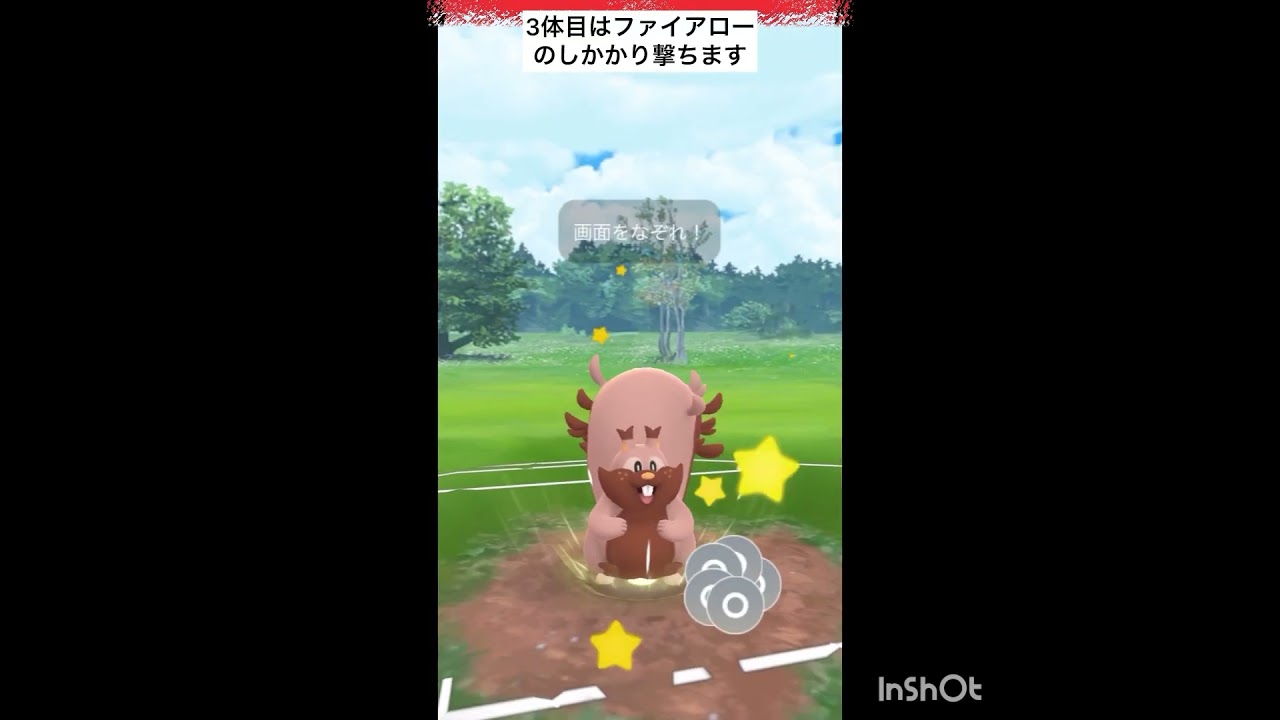 くさわけ型ヨクバリス‼️