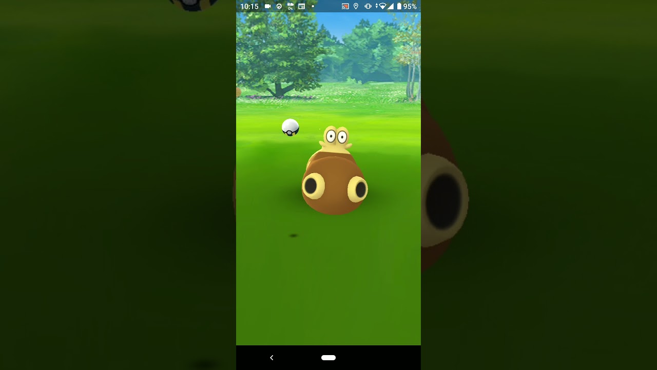 ポケモンGO　ヒポポタス