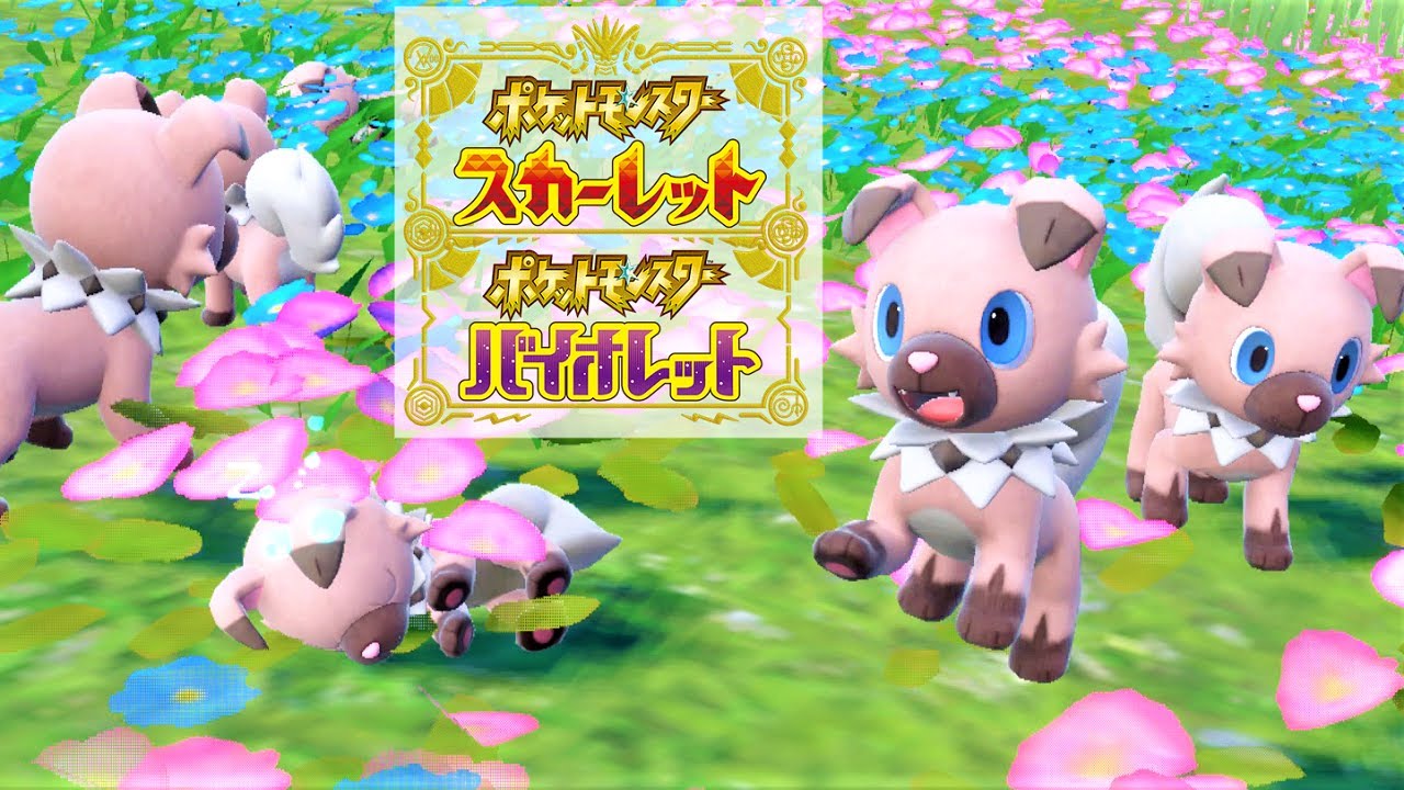 【可愛い】イワンコ６匹に囲まれて癒されピクニック【ポケモンSV】