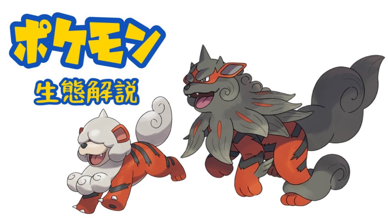 【ポケモン解説】「ガーディ(ヒスイのすがた)」「ウインディ(ヒスイのすがた)」の生態・小ネタについて！